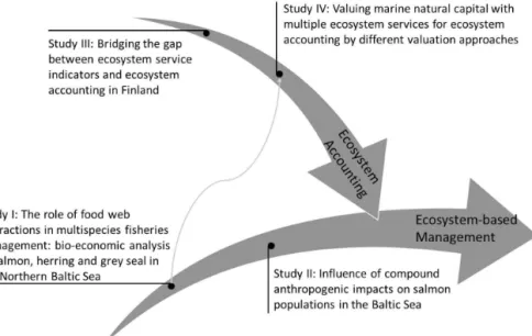 Figure 1 The topics of the studies in this thesis and their relationships to EBM