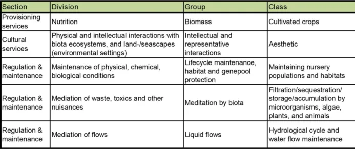 Figure 2. Categorization of the ecosystem services in this project. CICES classification spreadsheet (2013)