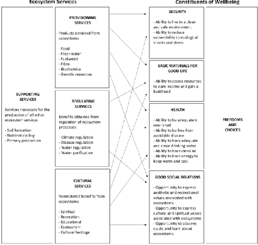 Figure 2.2: The role of ecosystem services for human wellbeing Source: MEA (2005).