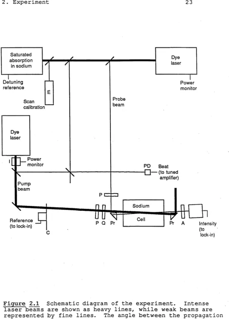 Figure 2.1 Schematic diagram of the experiment. laser beams are shown as heavy lines, while weak beams are