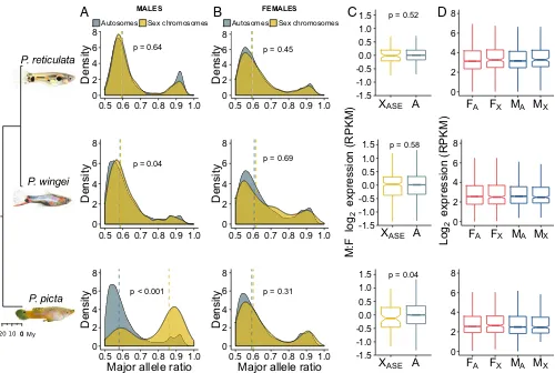 Fig. 3.Patterns of gene expression and ASE. Density plots show the distribution of the major allele frequency of autosomal (gray) and sex chromosome(in males (yellow).(yellow) genes in males (A) and females (B) of each species