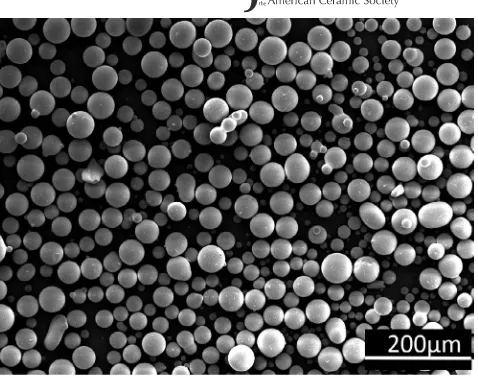 FIGURE 1 SEM micrograph of the soda lime silica glass powder particles