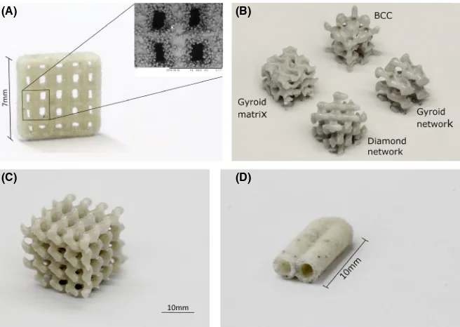 FIGURE 3 Glass structures produced with powder bed fusion: (A) Grid structure and SEM micrograph showing powder consolidation and partially fused powder particles on lattice walls; (B) various 10 × 10 × 10 mmnetwork lattice structure (4 cells/axis) and; (D) flow reactor channel with a length of 10mm and an internal diameter of 2 mm [Colour figure can be viewed at 3 lattice structures (2 cells/axis); (C) 20 × 20 × 20 mm3 Gyroid wileyonlinelibrary.com]