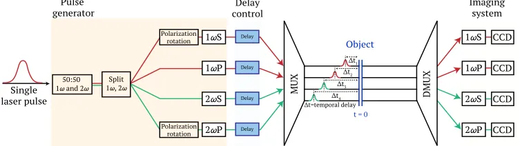 Fig. 1. Process ﬂow diagram of multiplexed optical probe concept. A single ultrashort laserpulse is divided into four separate laser pulses which are uniquely encoded by frequencyand polarization