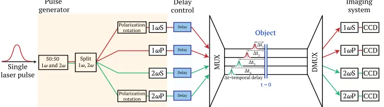 Fig. 1. Process ﬂow diagram of multiplexed optical probe concept. A single ultrashort laserpulse is divided into four separate laser pulses which are uniquely encoded by frequencyand polarization