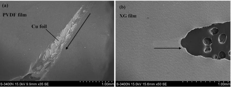 Figure 3.  Coefficient of friction (COF) versus time curves of PVDF/Cu (a) and XG/Cu (b) coatings by scratching with a preload of 0.05N for 5s and then a linear load from 0.05N to 5N at a constant sliding speed of 0.04mm/s