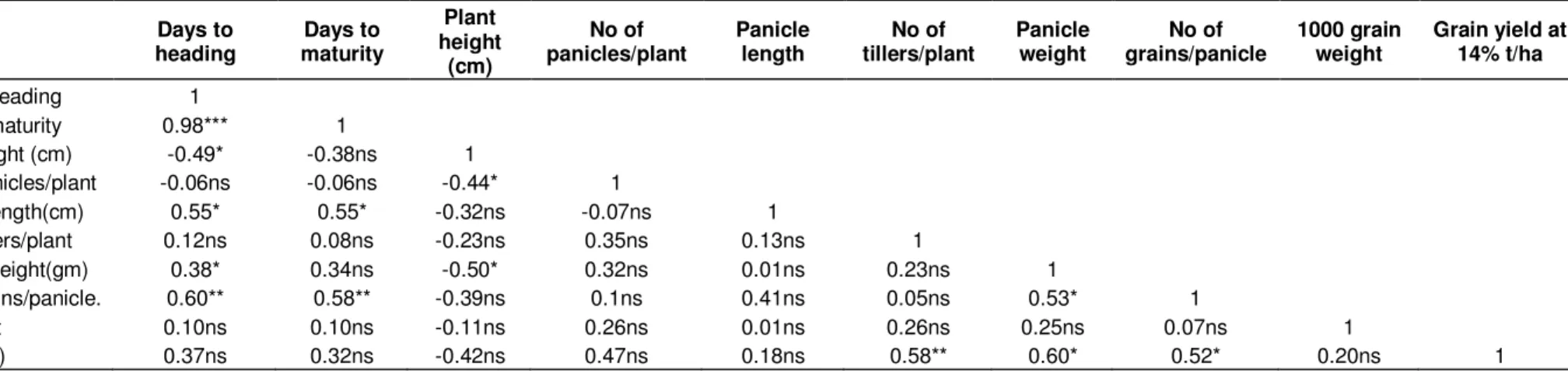 Table 3. The phenotypic correlations among the traits.  Traits   Days to  heading  Days to  maturity  Plant  height  (cm)  No of  panicles/plant  Panicle length  No of  tillers/plant  Panicle weight  No of  grains/panicle  1000 grain weight  Grain yield at