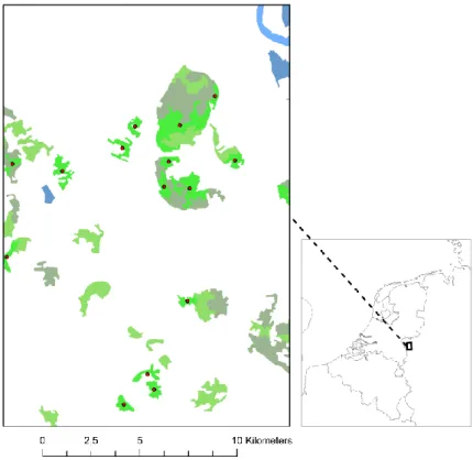 Figure 3.2: Centerpoints (red points) of ecosystem type broad-leaved forest   (Code 3.1.1) 