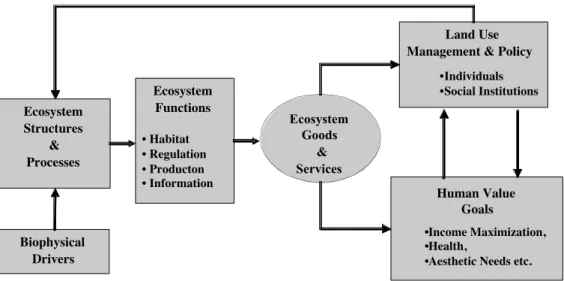 Figure  1:  Framework  for  integrated  assessment  and  valuation  of  ecosystem  goods  and  services (from de Groot et al