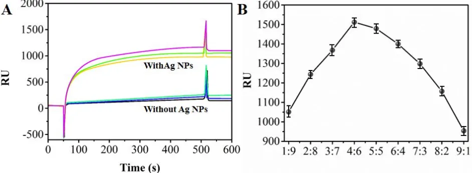 Figure 3.  Effects of (A) the chips modified with the mixed self-assembled monolayer of MUA on IMA and IMA-Ag NPs (B) the varied ratio of MHA to MUOH from 1:9, 2:8, 3:7, 4:6, 5:5, 6:4, 7:3, 8:2 to 9:1