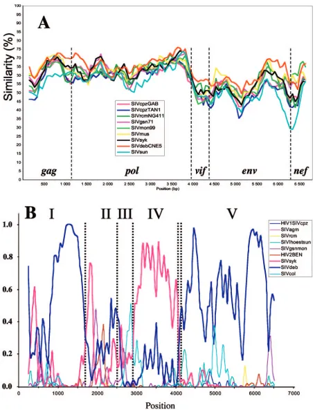 FIG. 2. (A) Diversity plot comparing SIVden with SIV and HIV sequences (6,597 nucleotides after degapping)