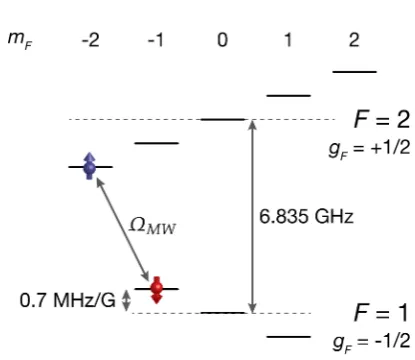 Figure 3.3: Spin system in rubidium-87. The ground state manifold 5S1/2of rubidium-87 provides a pseudo-spin-1/2 system consisting of the mag-netic hyperﬁne structure levels |F =2, mF = −2⟩ = |↑⟩ and |F = 1, mF =−1⟩ = |↓⟩ with opposite Landé gF-factors lea