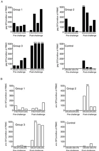 FIG. 6. CD8 immune responses. (A) Peak ELISPOT responses to SIV Gag peptides (spot-forming cells [SFCs] per 106and postchallenge peak values are shown for the individual animals