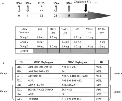 FIG. 2. Study design. (A) Four groups of four Indian rhesus macaques were enrolled. Group 4 remained unvaccinated and served as the controlgroup