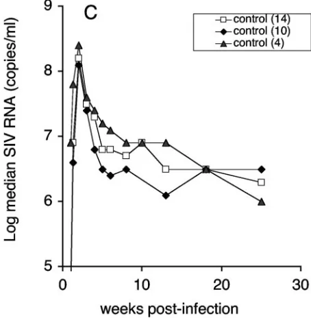 FIG. 3. Viral loads of DNA-immunized and control animals aftermucosal challenge with SIVmac251