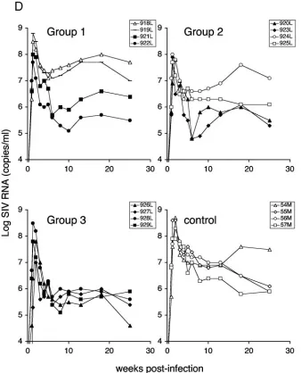 FIG. 3—Continued.