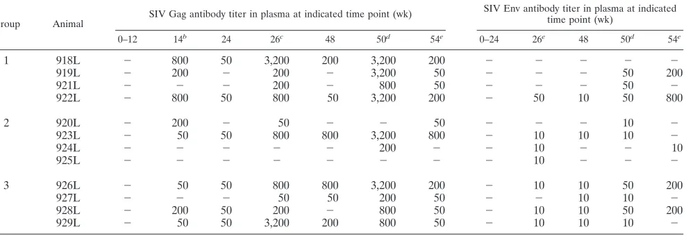 TABLE 1. Binding antibodies to SIV Gag (left panel) and Env (right panel) in the plasma of the immunized animals atindicated time pointsa