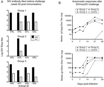 FIG. 4. Humoral immune responses. (A) Binding antibodies to SIV Gag (solid bar) and Env (open bar) in the plasma of vaccinated animals,determined at week 50 (4 weeks prior to challenge)