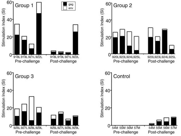 TABLE 2. Postchallenge neutralizing antibody titer in plasma toprimary SIVmac251 (in M7-luc cells)