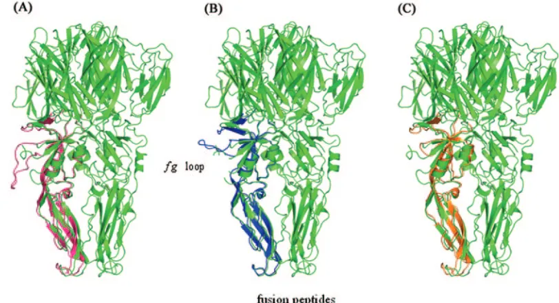FIG. 4. YF 17D virus growth in Vero cells. Monolayers of Verocells were infected either with control virus 17DD (black squares) or