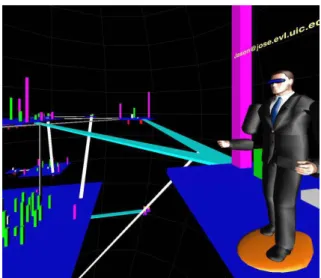 Figure 2.  A remote user immersed in the VE  investigating a visualization of a software 