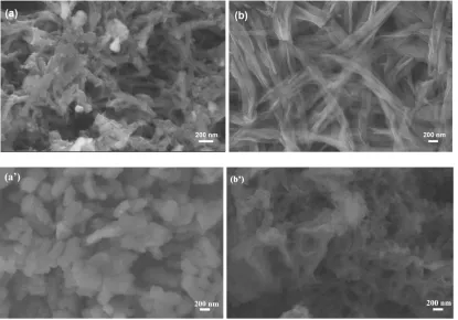 Figure 9.  SEM images: (a) PANI; (b) PAASA; (a’) after 150 cycles of PANI; (b’) after 150 cycles of PAASA