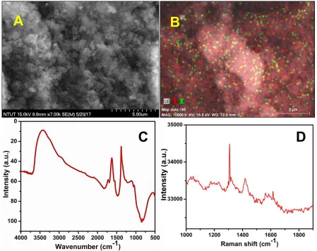 Figure 1.  A) SEM image of ND and B) the elemental distribution image of carbon and oxygen in ND