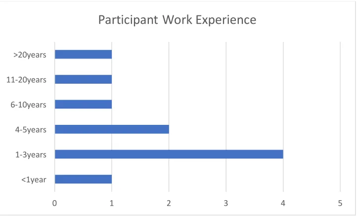 Figure 1 Work Experience Data 