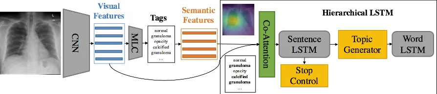 Figure 2: Illustration of the proposed model. MLC denotes a multi-label classiﬁcationtic features are the word embeddings of the predicted tags