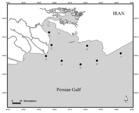 Fig. 1. Study area and location of the sampling stations 