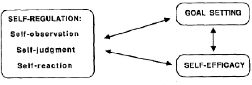 Figure 2.11 Social cognitive processes involved in self-regulated learning.   