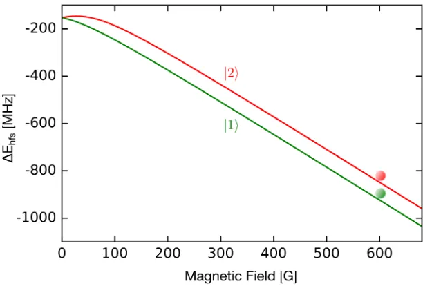 Figure 4.4: Breit Rabi diagram of the two lowest spin states. At the magnetic ﬁeld of 599 Gset by the Feshbach ﬁeld, both states are high ﬁeld seeking, which we used for magneticallydriven evaporation.