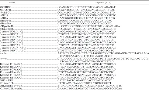 TABLE 1. Oligonucleotides used in PCR and mutagenesis