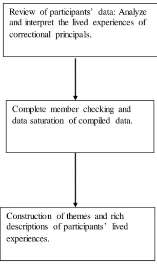 Figure 1. Example  of  data analysis  procedures. 