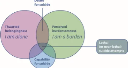 Fig. 1. The interpersonal psychological theory of suicidal behaviour (Orden et al., 2010Van).