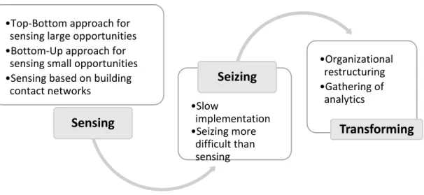 Figure 2:  How PubClient senses, seizes and transforms opportunities.