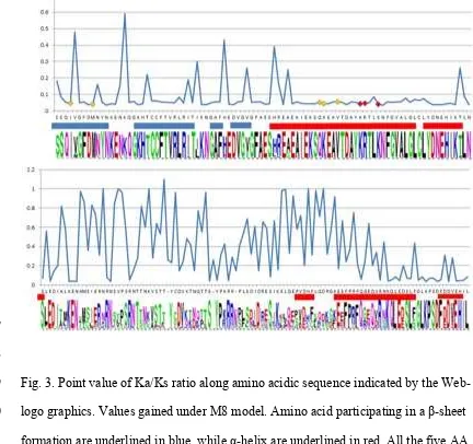 Fig. 3. Point value of Ka/Ks ratio along amino acidic sequence indicated by the Web-