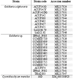 Table 2. Accession number of RAD52 nucleotide sequences from Cyanidiophyceae 