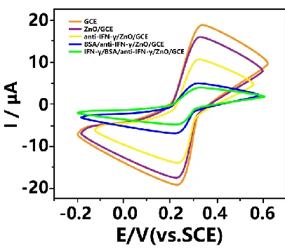 Figure 1. Cyclic voltammograms (CVs) of the original GCE, the TiO2-modified GCE, the anti-IFNγ/TiO2-modified GCE, the BSA/anti-IFNγ/TiO2-modified GCE and the IFNγ/BSA/anti-IFNγ-modified TiO2/GCE in a 0.1 M pH 7.0 PBS solution containing KCl (0.1 M) and K3[