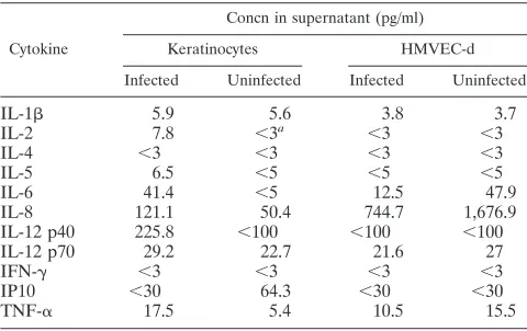 TABLE 1. Cytokine concentrations in supernatants of VV-infectedor uninfected keratinocytes and HMVEC-d culturesb