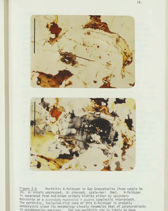 Figure 2.6 Perthitic K-feldspar in a: nicols uncrossed, separated from red-brown primary 