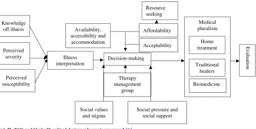 Fig 1. The PASS-model for health-seeking behaviour and access to care research [26].