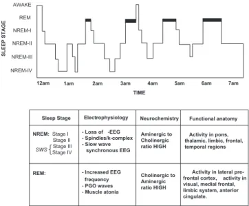 Figure 1. The  sleep  cycle  and  respective  biological  properties.