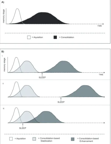 Figure 2. Classical and new models of procedural memory stage formation. (A) Classical, time-dependent course of memory  for-mation: The process of memory formation begins with an  acqui-sition stage involving engagement with an experience or task to be le