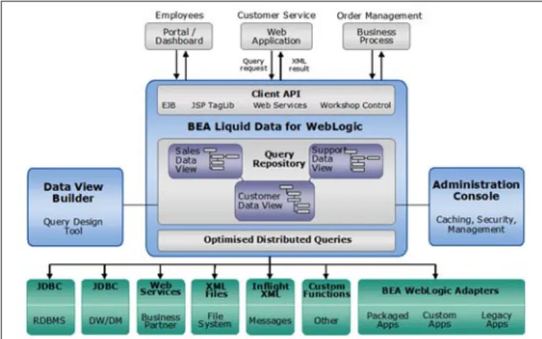 Figure 11: BEA Liquid Data conceptual overview