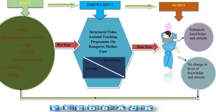 FIGURE NO: 1 CONCEPTUAL FRAMEWORK ON MODIFIED DOROTHY JOHNSON’S OPEN SYSTEM THEORY(1980) 