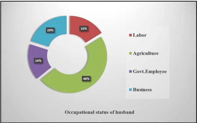 Figure No 7:  Distribution of occupational status of husband   