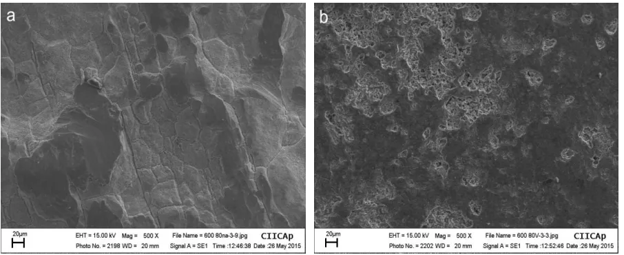 Figure 1. Images of Inconel-600 after exposure in a) high sulfatemolten salt for 120 h at 700 °C