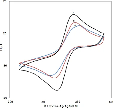 Figure 1.  Cyclic voltammograms of (a) bare CPE, (b) GPE and (c) ds-DNA-GPE  in 0.01M PBS containing 0.50 M KNO3 and 2.5 mM K4Fe(CN)6