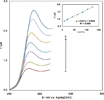 Figure 4.  Linear sweep voltammograms of 1.5×10−5 M amsacrine at ds-DNA- GPE employing varying scan rates (a-g): 10, 25, 50, 75, 100, 125 and 150 mV/s, respectively